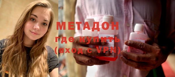 трава Корсаков