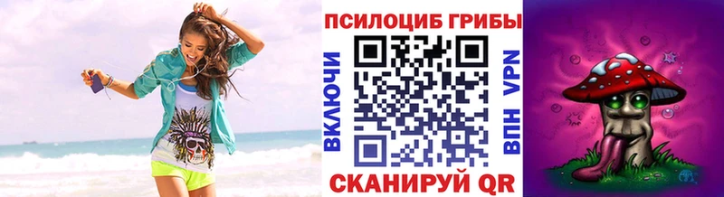 Псилоцибиновые грибы Cubensis  купить   Юрьевец 